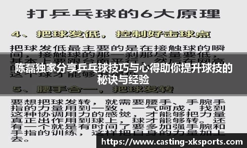 陈磊独家分享乒乓球技巧与心得助你提升球技的秘诀与经验
